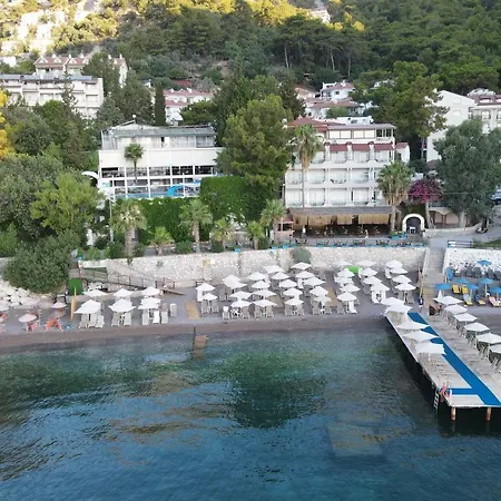 Mavi Deniz Turunç