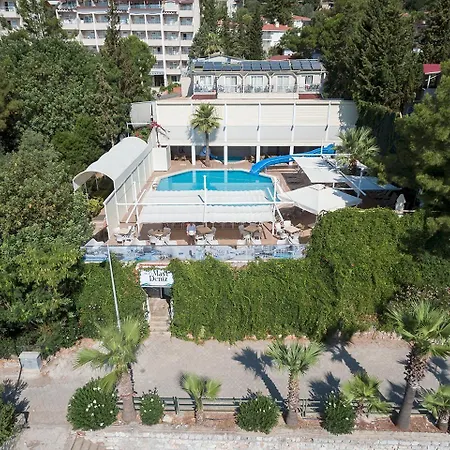 Mavi Deniz Turunc